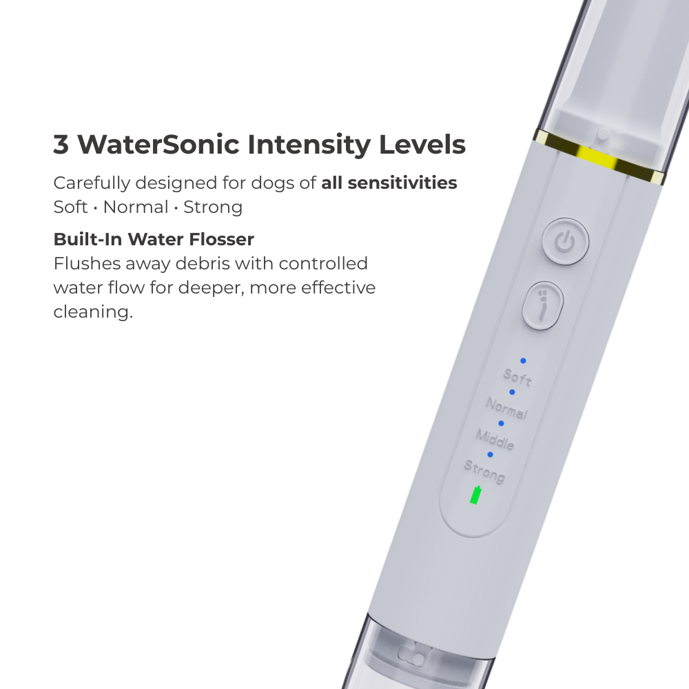 Watersonic by miDent for Dogs