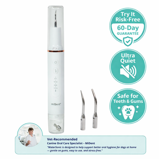 Watersonic by miDent for Dogs